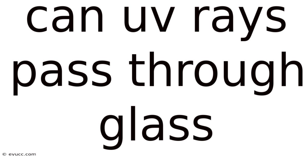 Can Uv Rays Pass Through Glass