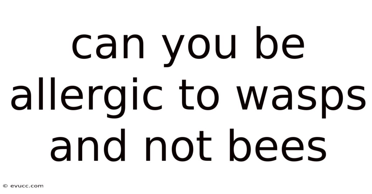 Can You Be Allergic To Wasps And Not Bees
