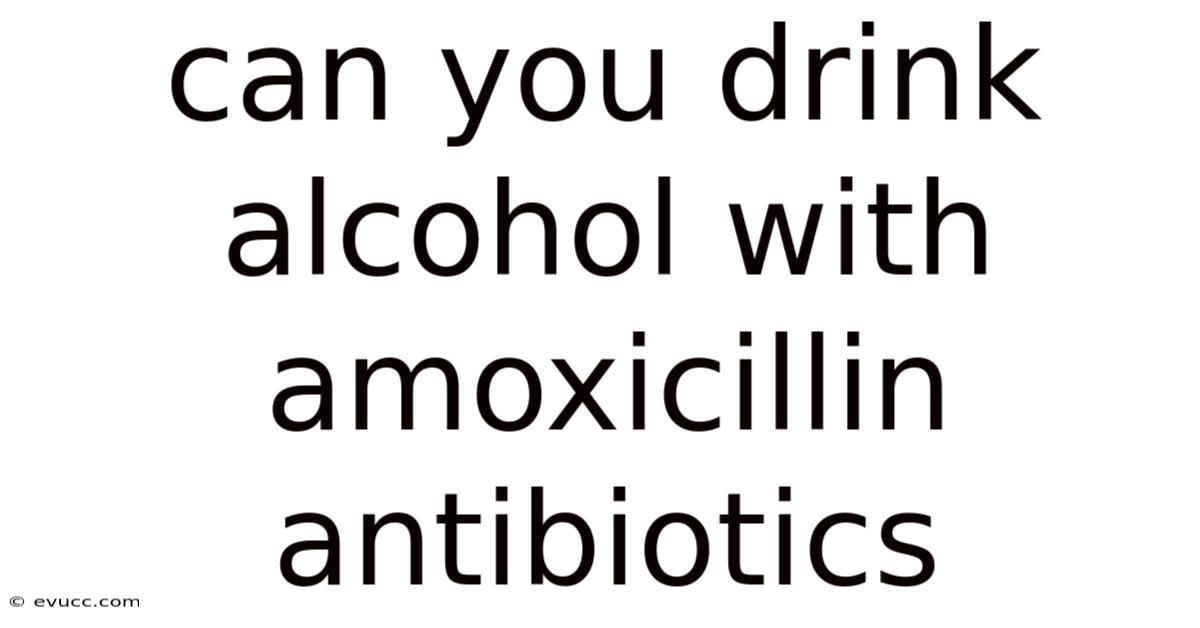 Can You Drink Alcohol With Amoxicillin Antibiotics