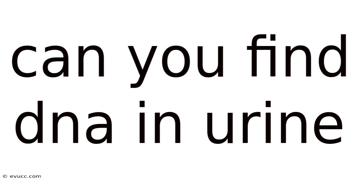 Can You Find Dna In Urine