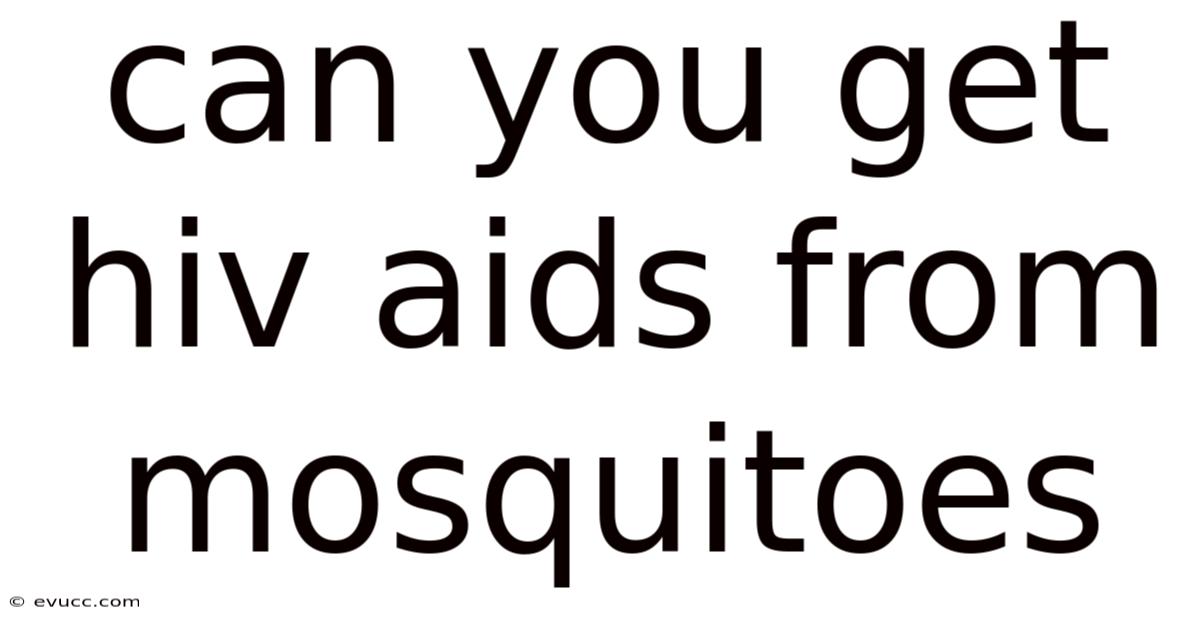 Can You Get Hiv Aids From Mosquitoes