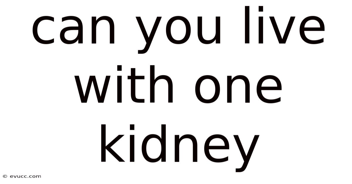 Can You Live With One Kidney