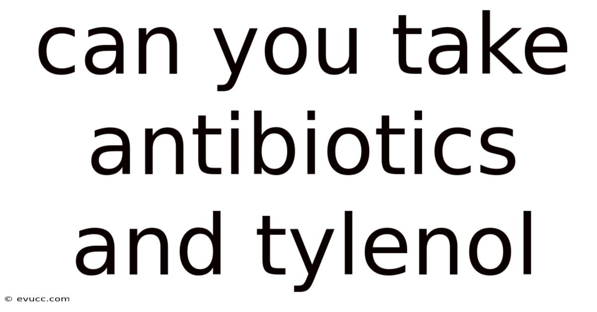 Can You Take Antibiotics And Tylenol