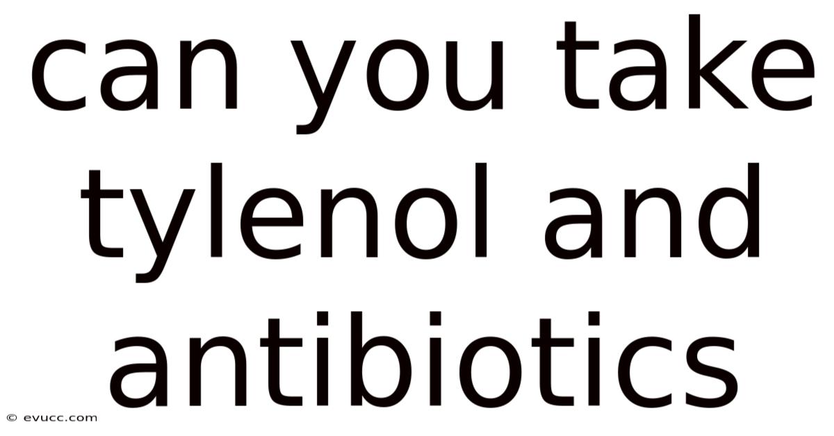 Can You Take Tylenol And Antibiotics