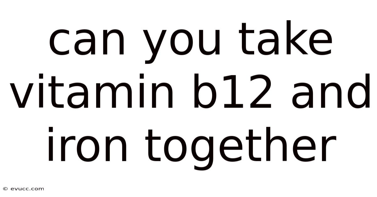 Can You Take Vitamin B12 And Iron Together