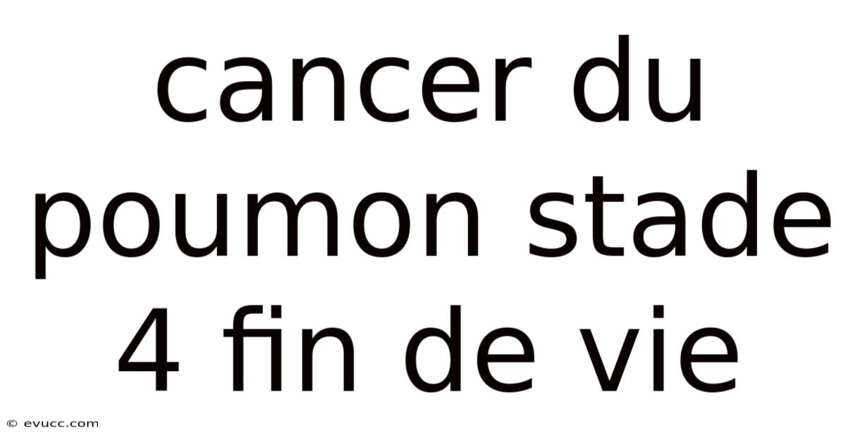 Cancer Du Poumon Stade 4 Fin De Vie