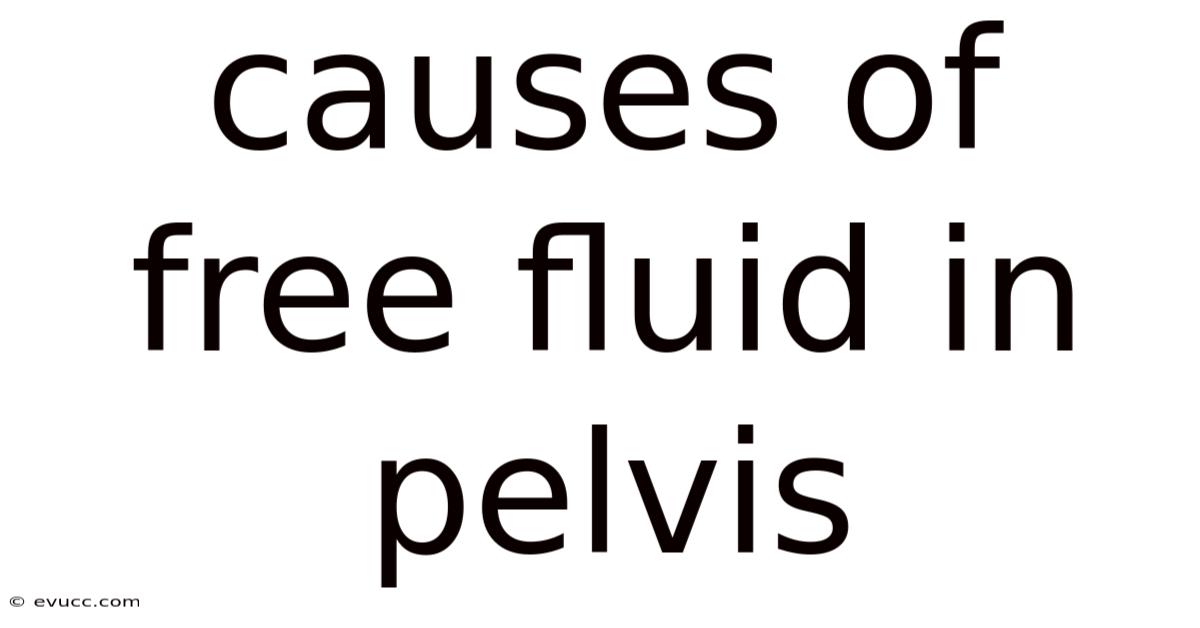 Causes Of Free Fluid In Pelvis