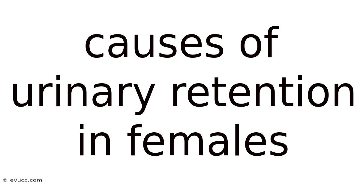Causes Of Urinary Retention In Females