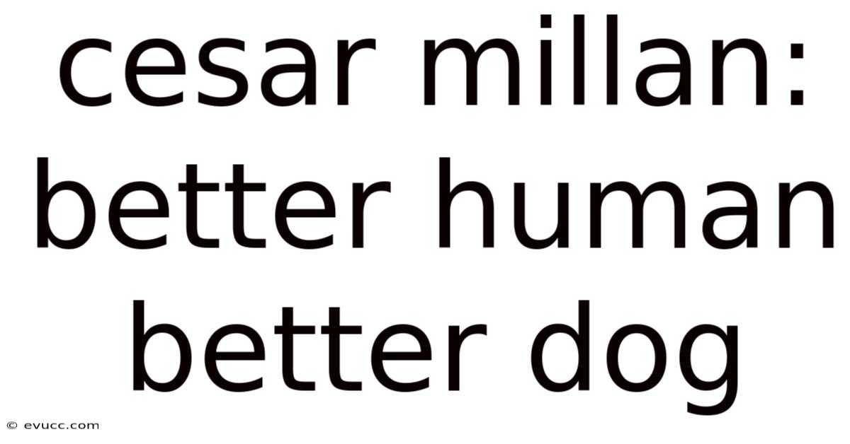 Cesar Millan: Better Human Better Dog