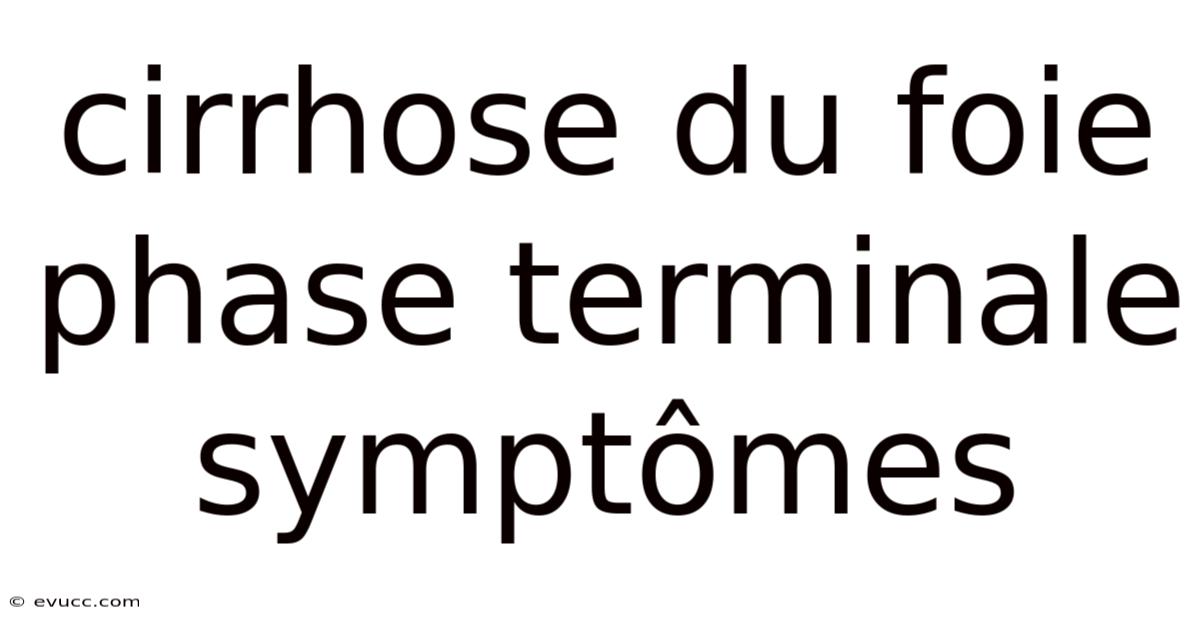 Cirrhose Du Foie Phase Terminale Symptômes