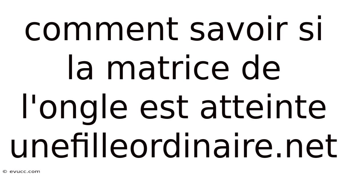 Comment Savoir Si La Matrice De L'ongle Est Atteinte Unefilleordinaire.net