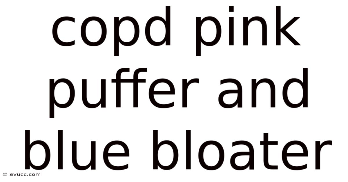 Copd Pink Puffer And Blue Bloater