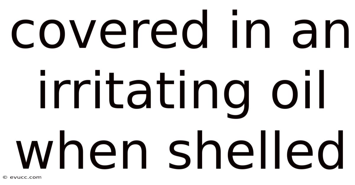 Covered In An Irritating Oil When Shelled
