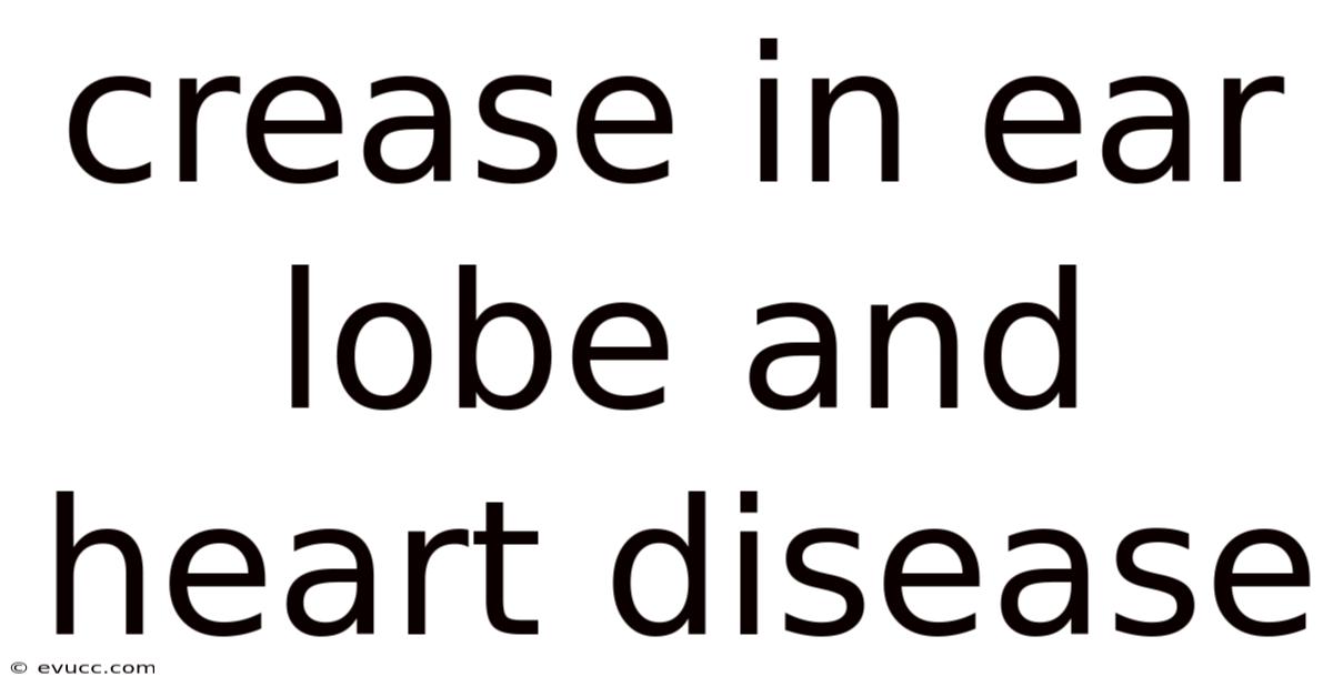 Crease In Ear Lobe And Heart Disease