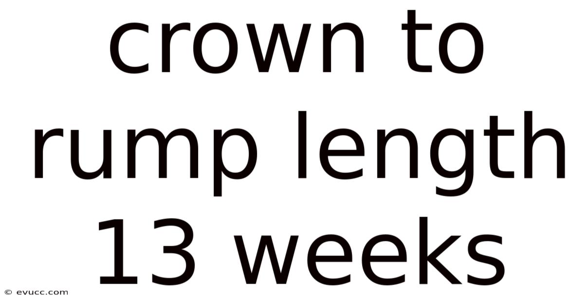 Crown To Rump Length 13 Weeks