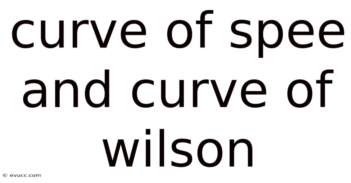 Curve Of Spee And Curve Of Wilson