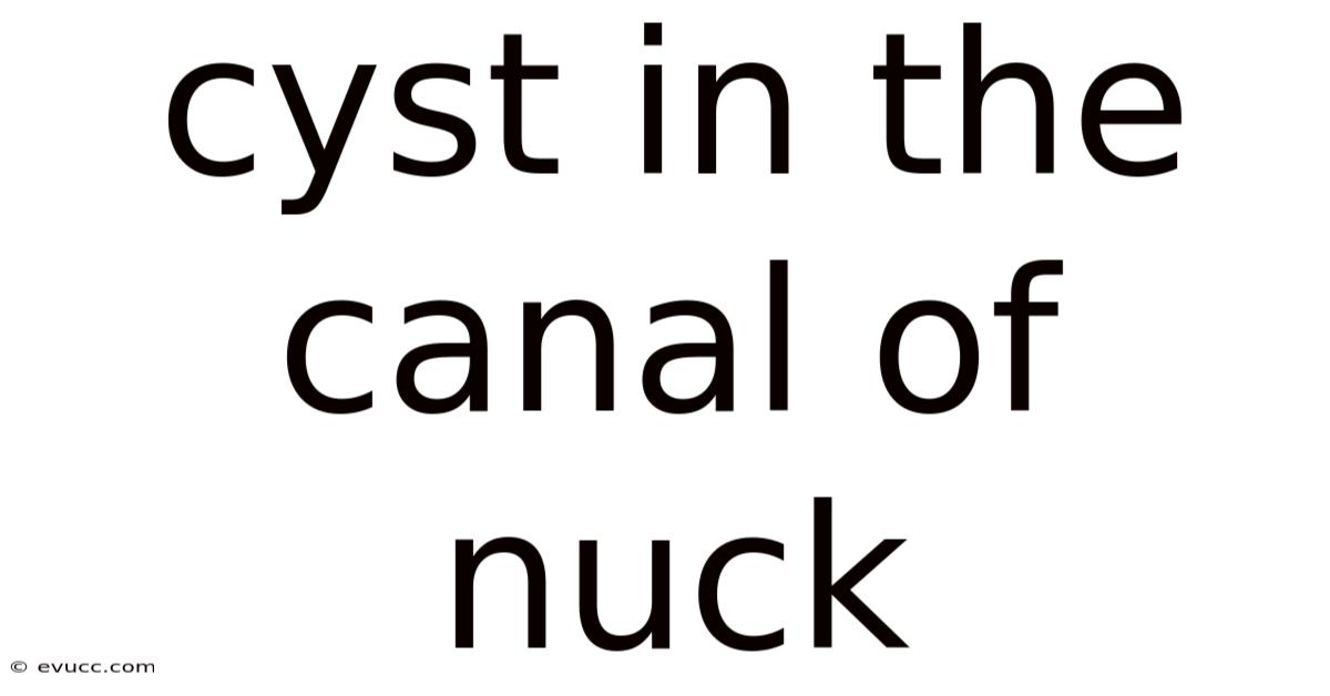 Cyst In The Canal Of Nuck