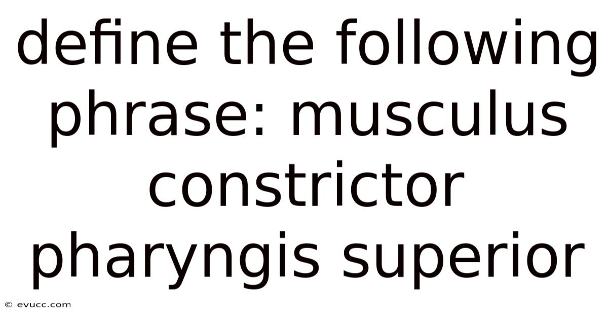 Define The Following Phrase: Musculus Constrictor Pharyngis Superior