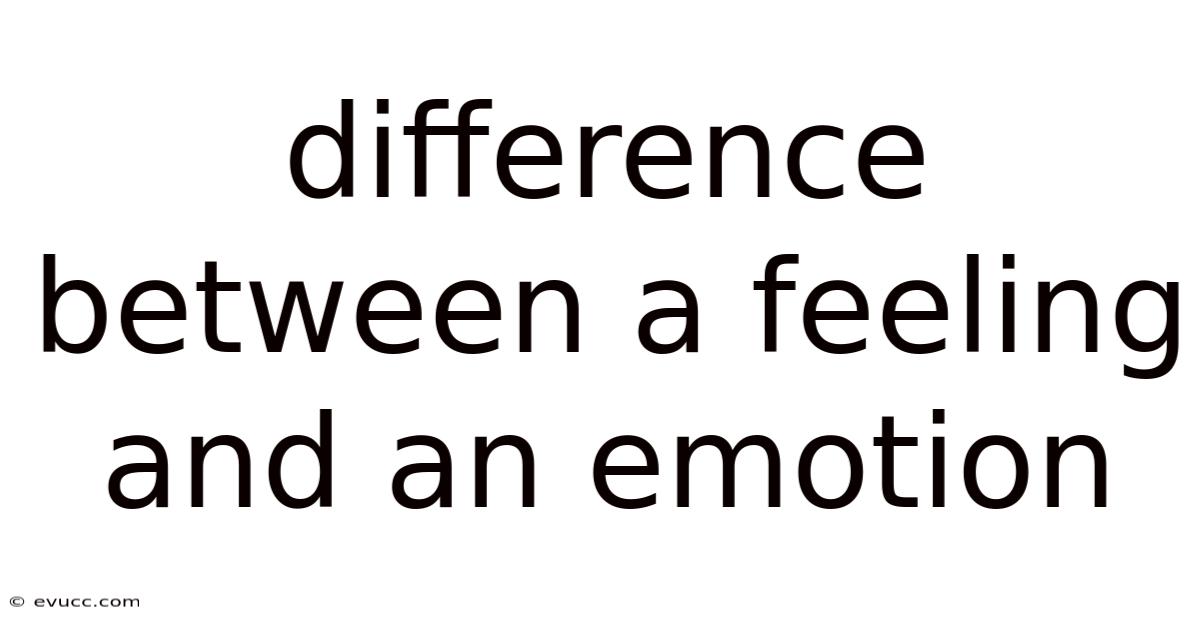 Difference Between A Feeling And An Emotion