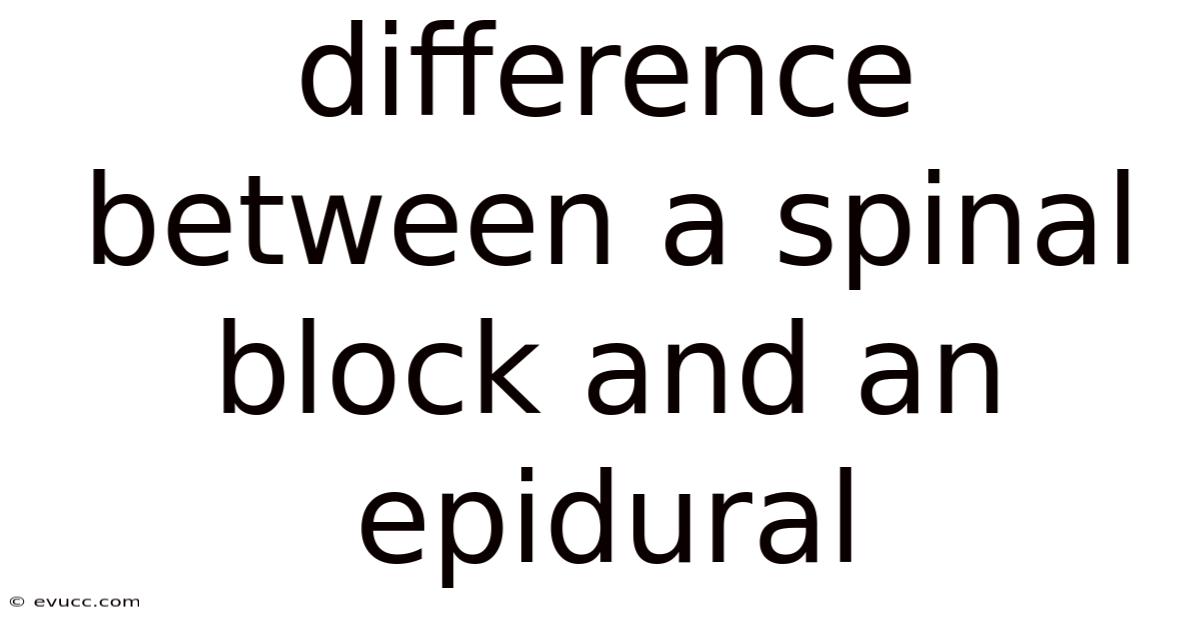 Difference Between A Spinal Block And An Epidural