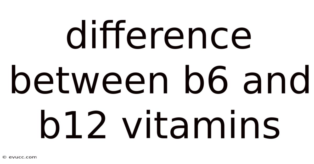 Difference Between B6 And B12 Vitamins