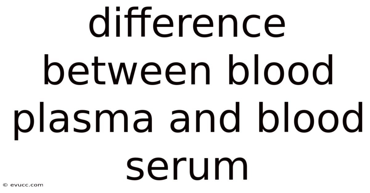 Difference Between Blood Plasma And Blood Serum