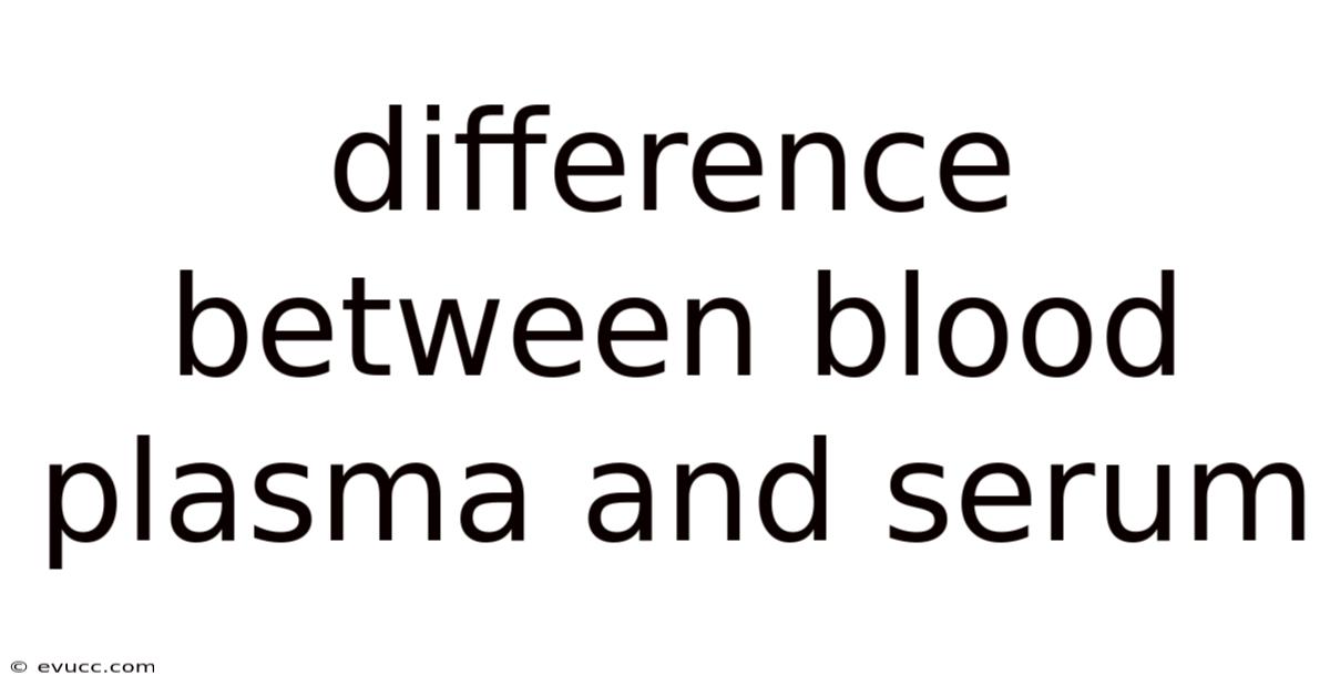 Difference Between Blood Plasma And Serum