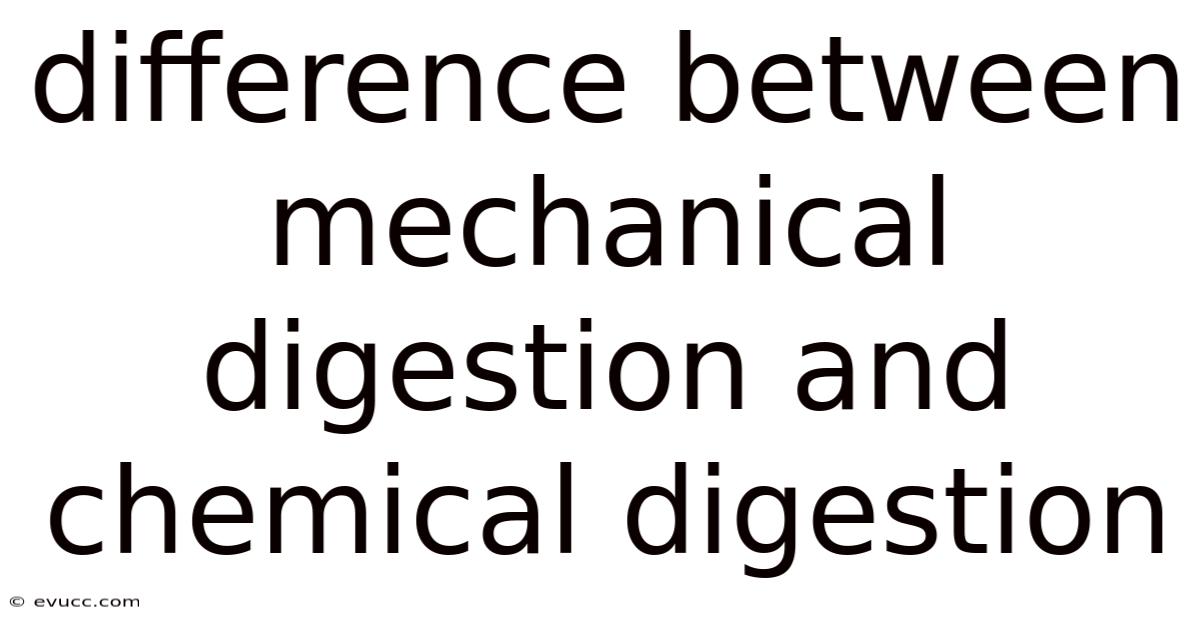 Difference Between Mechanical Digestion And Chemical Digestion