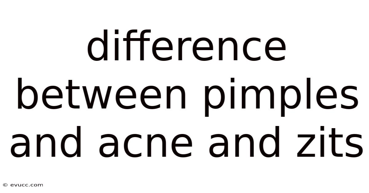 Difference Between Pimples And Acne And Zits