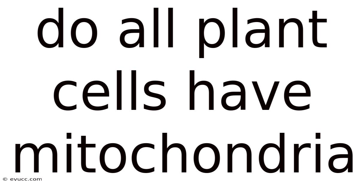 Do All Plant Cells Have Mitochondria