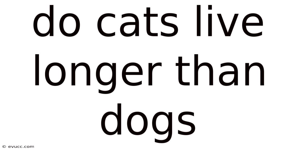 Do Cats Live Longer Than Dogs