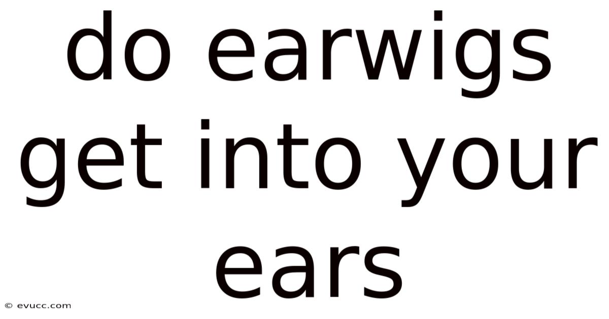 Do Earwigs Get Into Your Ears