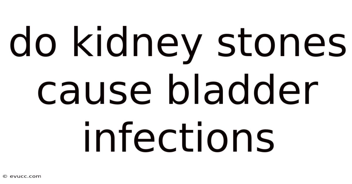 Do Kidney Stones Cause Bladder Infections