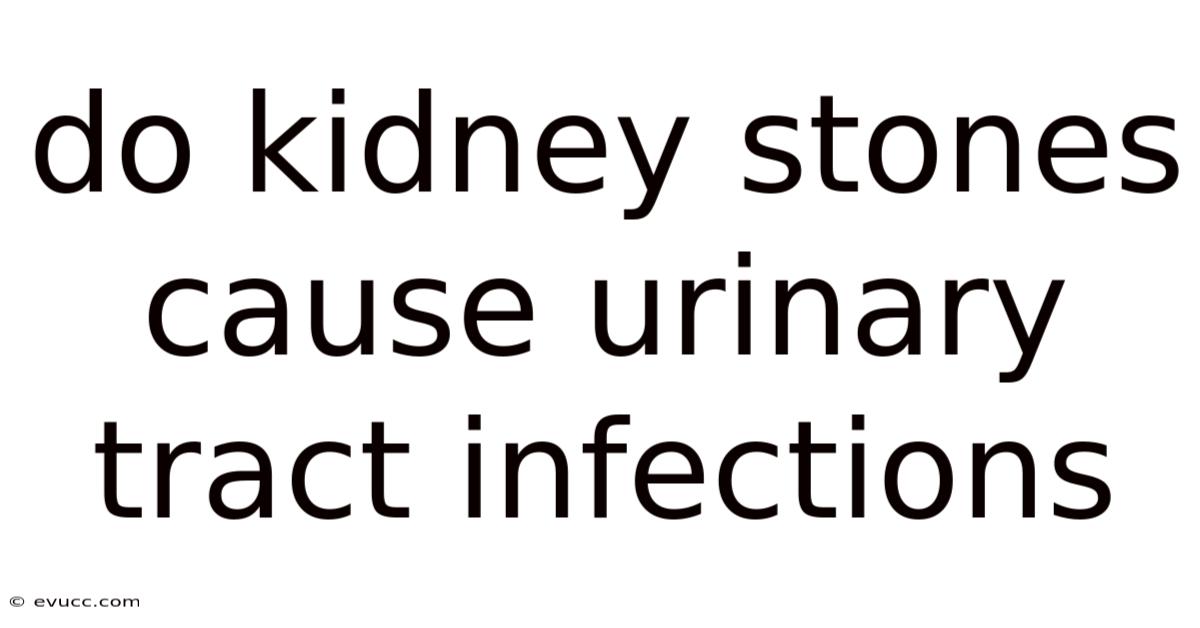 Do Kidney Stones Cause Urinary Tract Infections