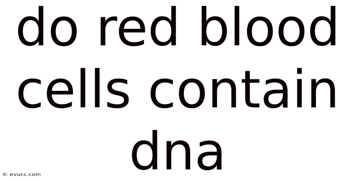 Do Red Blood Cells Contain Dna
