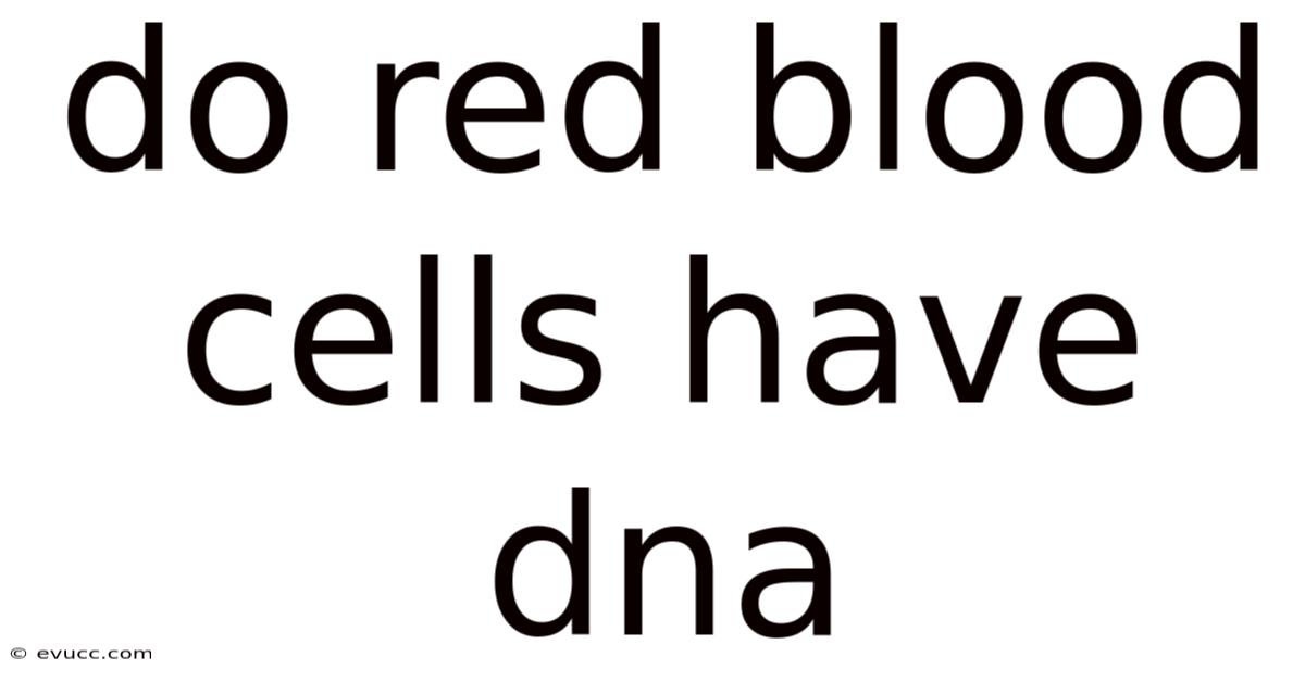 Do Red Blood Cells Have Dna
