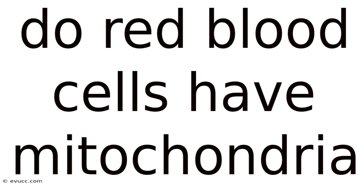 Do Red Blood Cells Have Mitochondria
