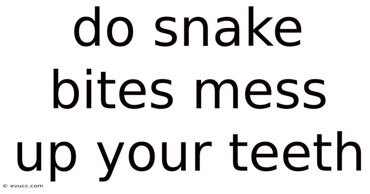 Do Snake Bites Mess Up Your Teeth