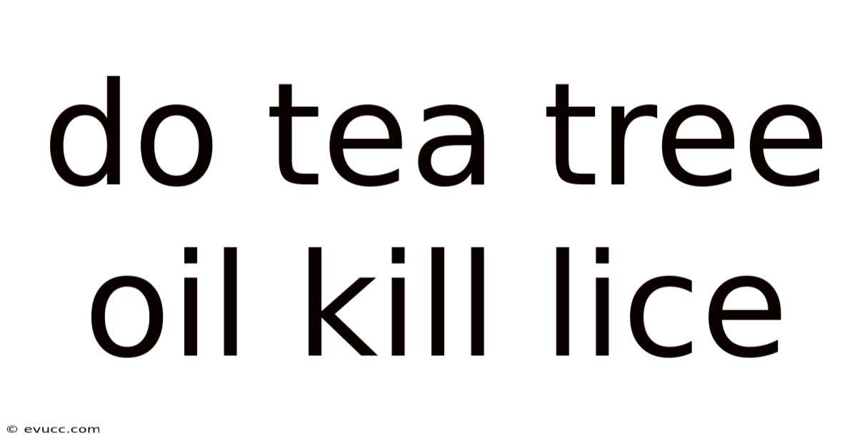 Do Tea Tree Oil Kill Lice