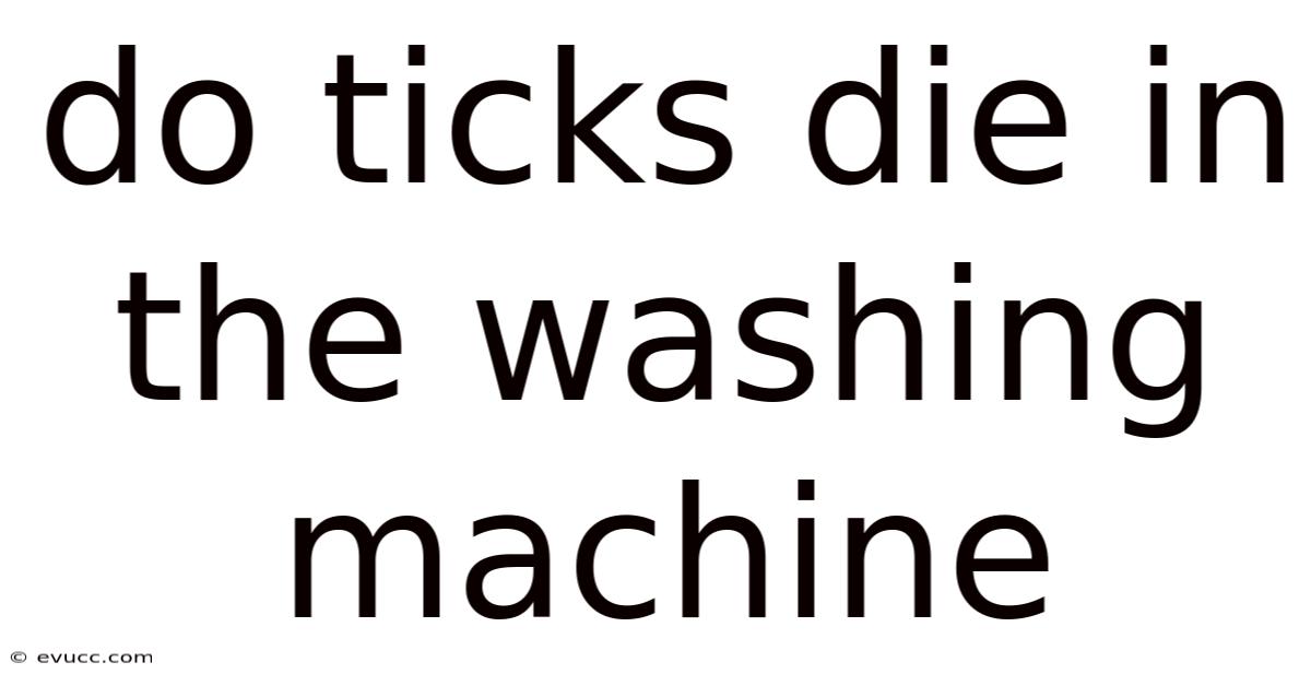 Do Ticks Die In The Washing Machine