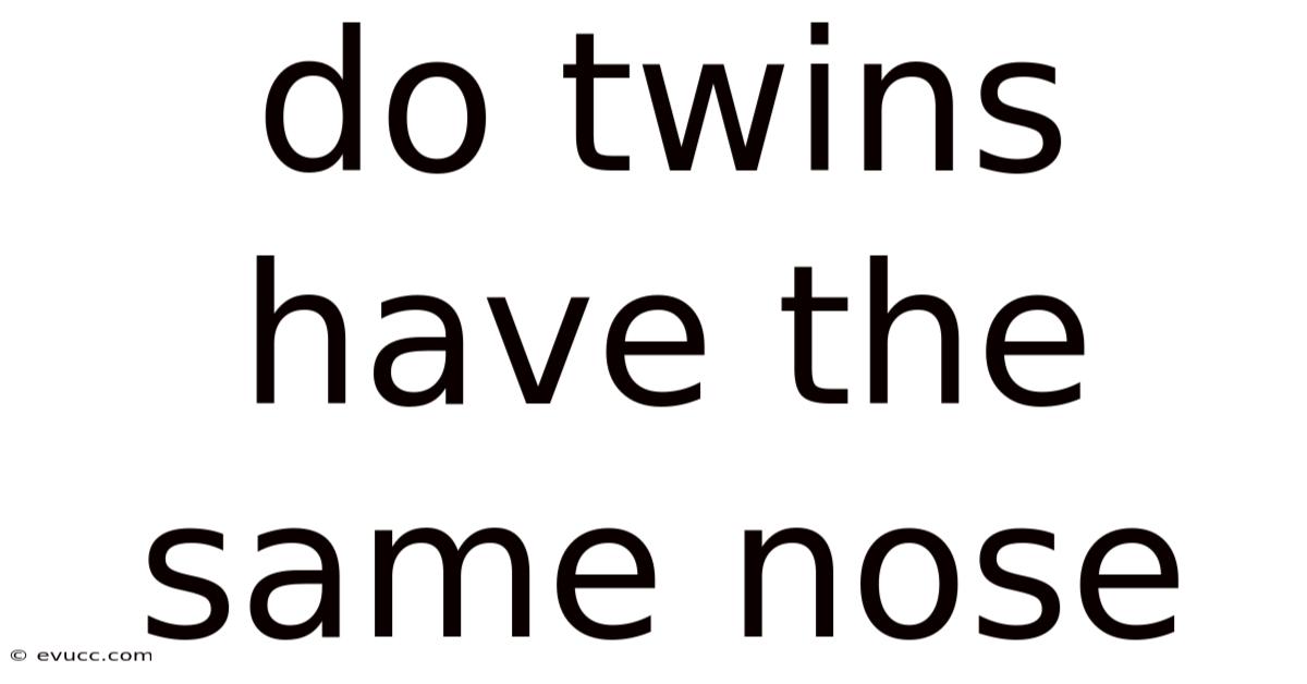 Do Twins Have The Same Nose