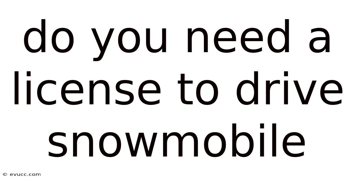 Do You Need A License To Drive Snowmobile