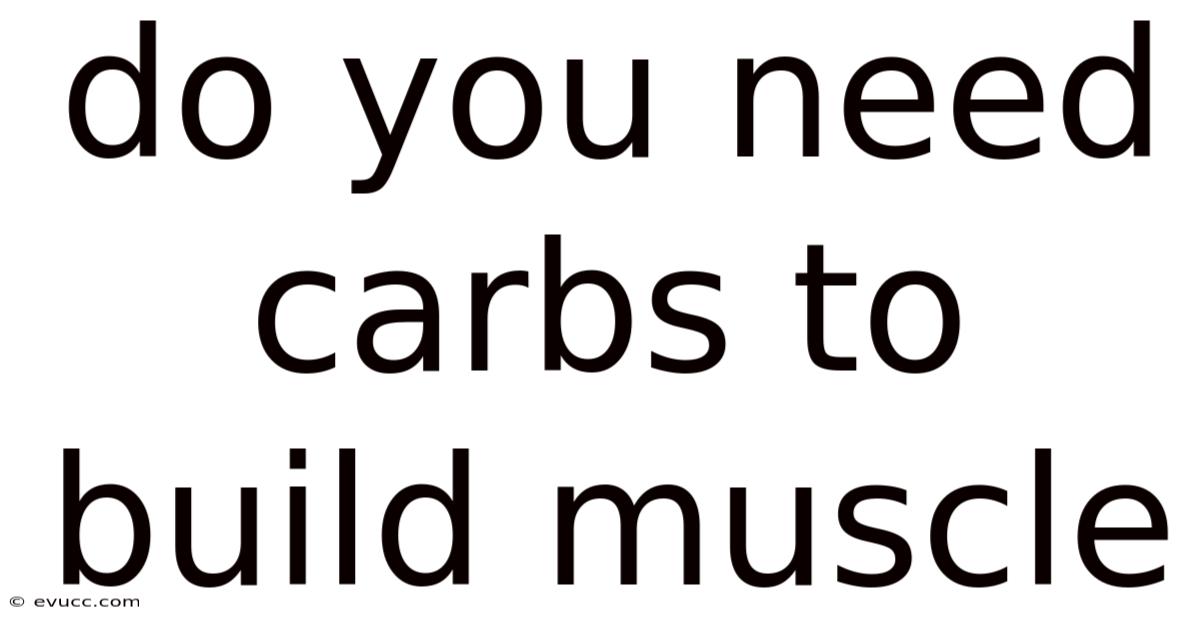 Do You Need Carbs To Build Muscle
