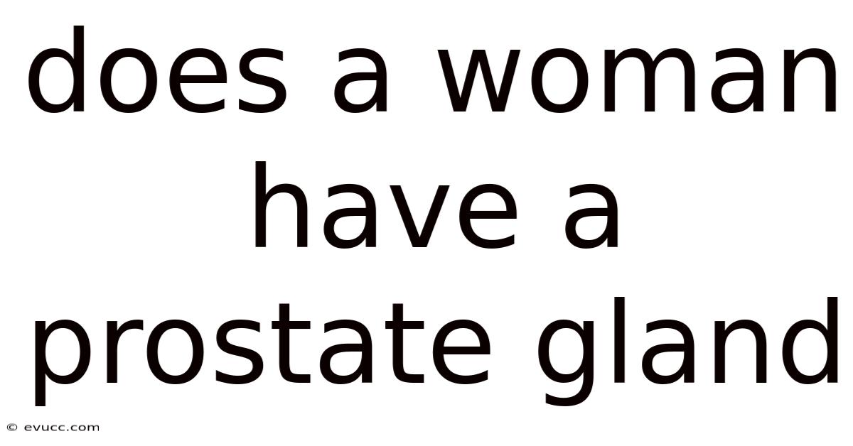 Does A Woman Have A Prostate Gland