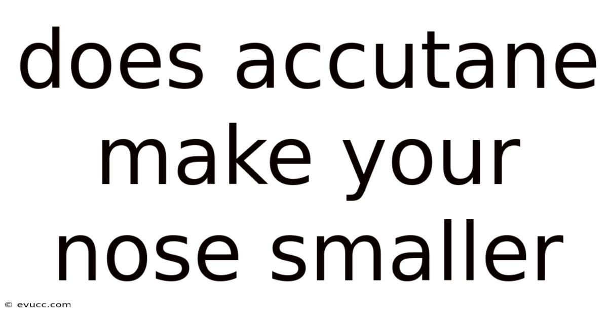 Does Accutane Make Your Nose Smaller