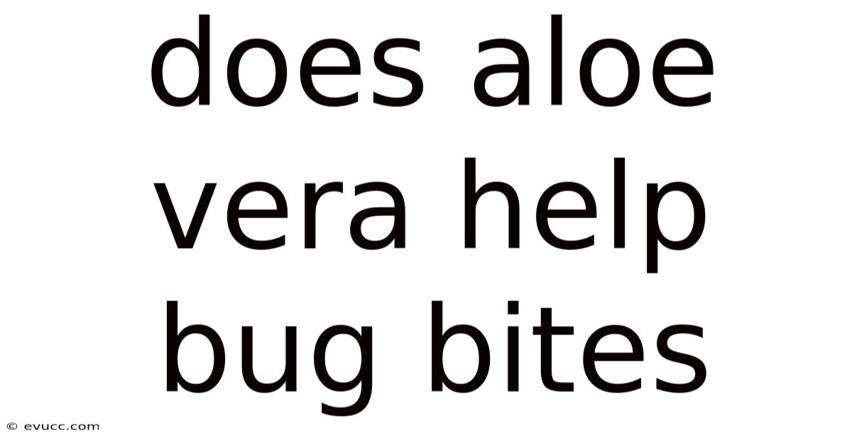Does Aloe Vera Help Bug Bites