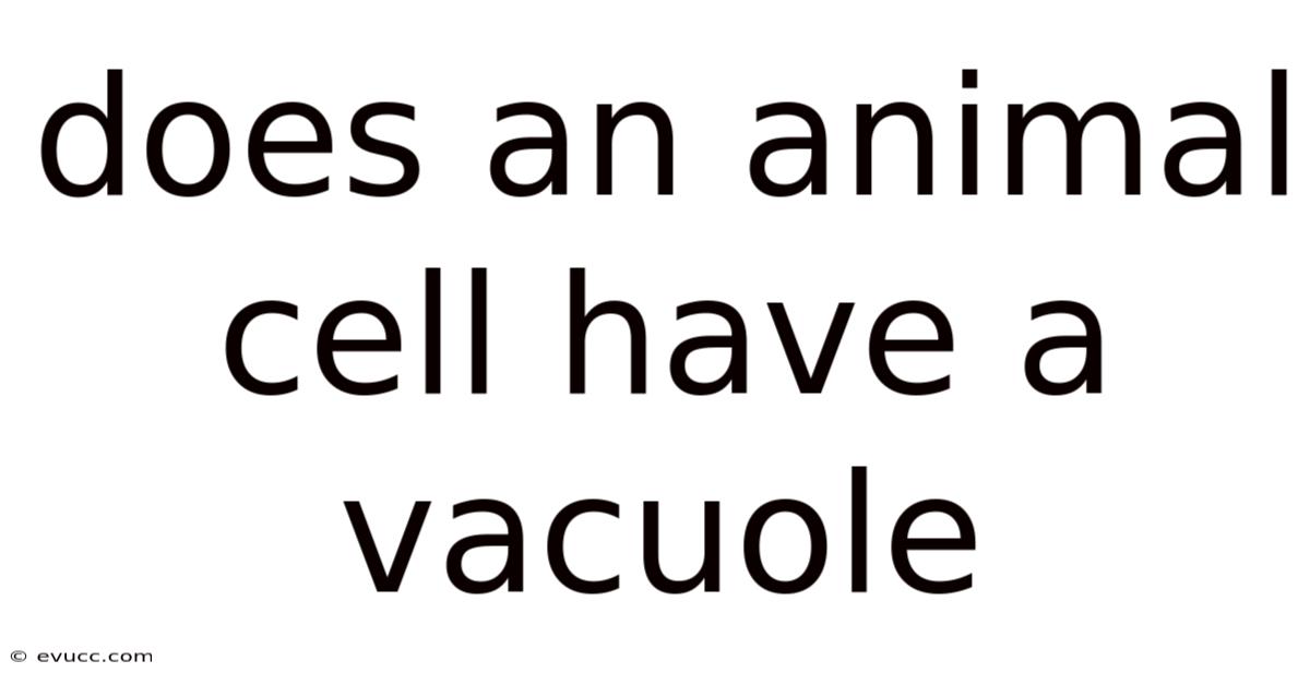 Does An Animal Cell Have A Vacuole
