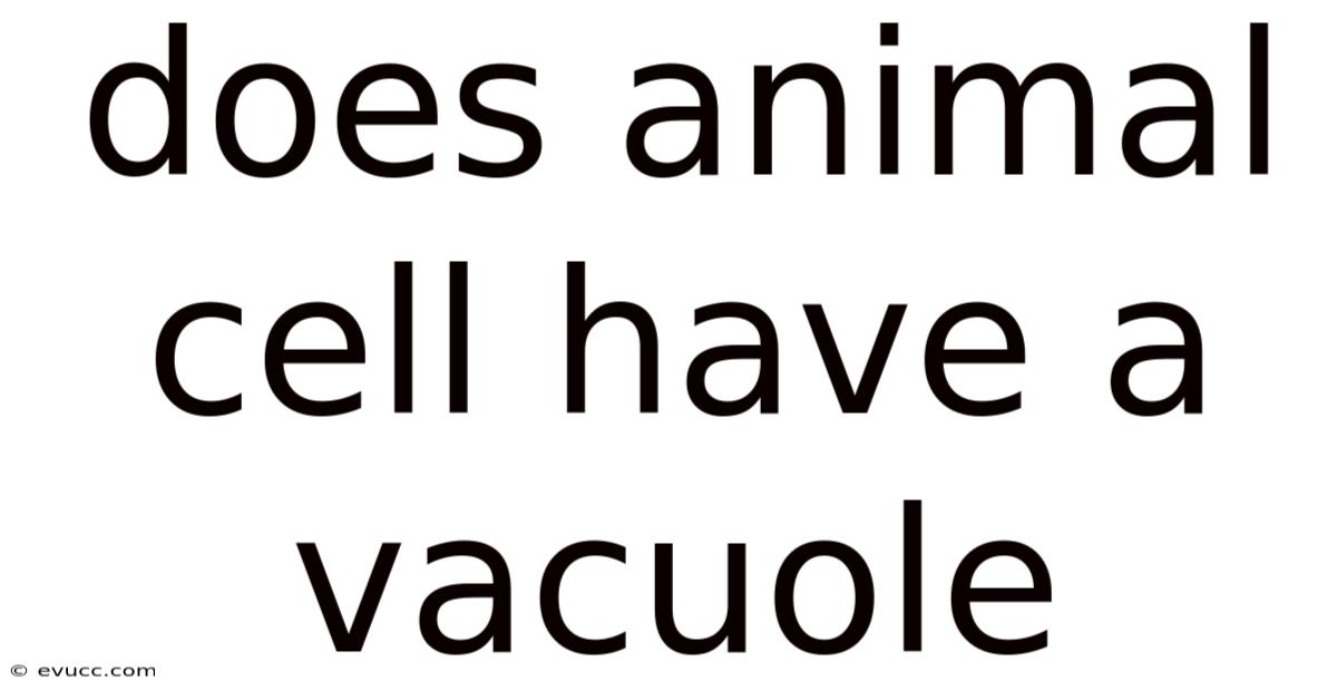 Does Animal Cell Have A Vacuole