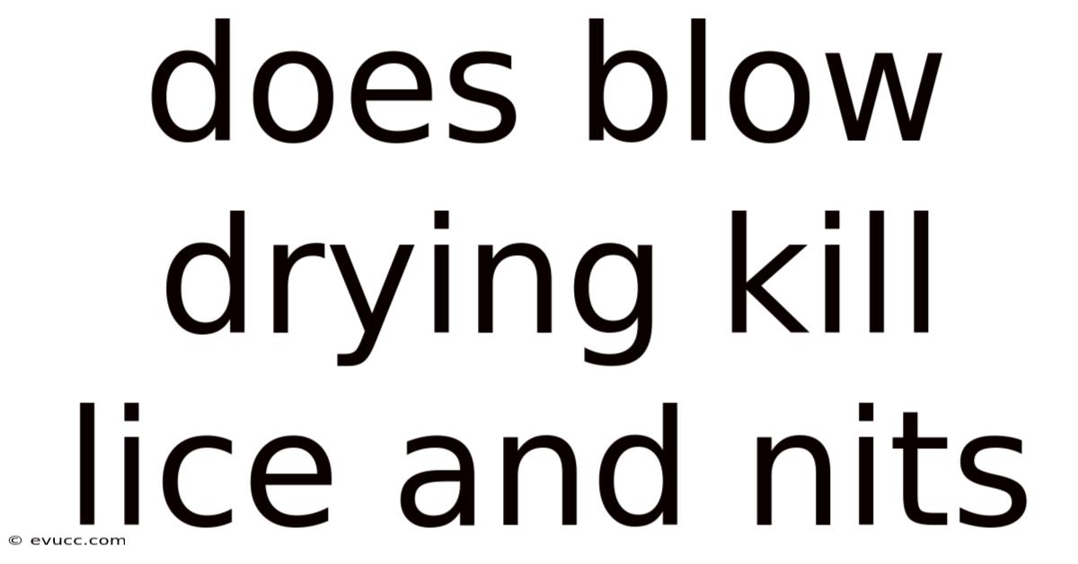 Does Blow Drying Kill Lice And Nits