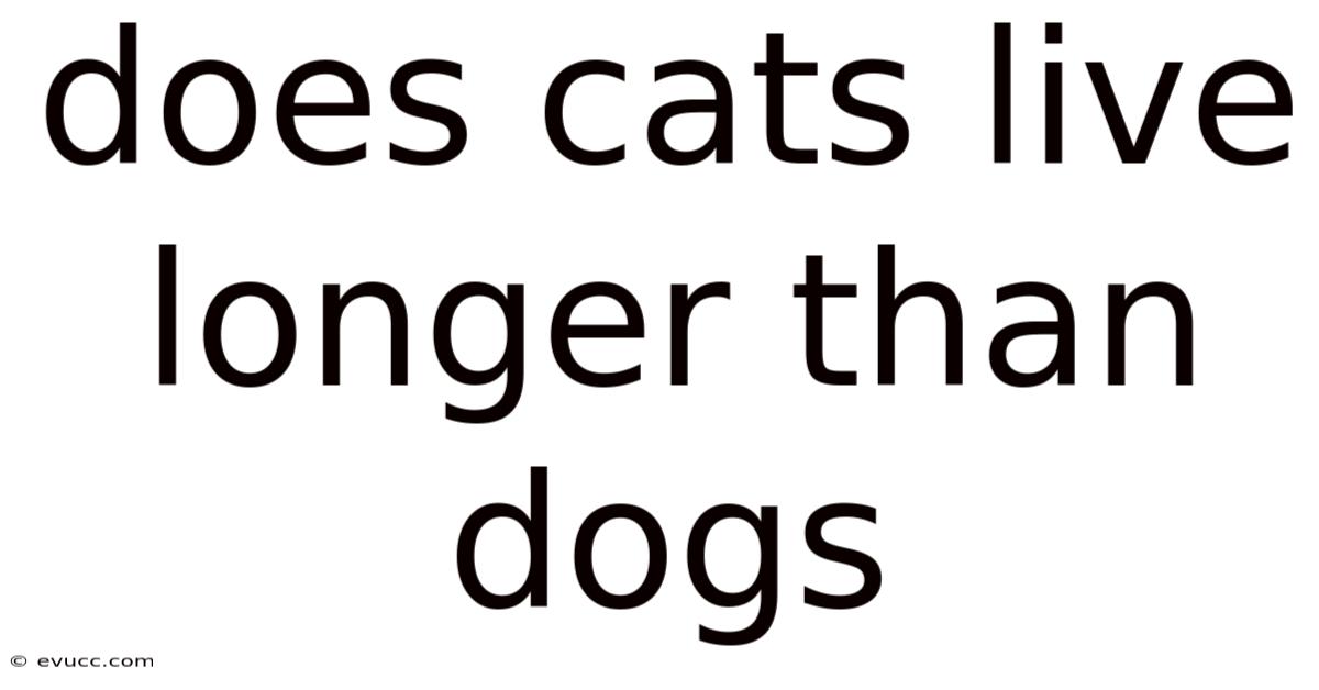 Does Cats Live Longer Than Dogs
